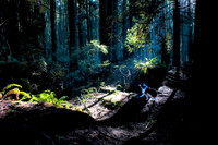 IMG_2509-Edit