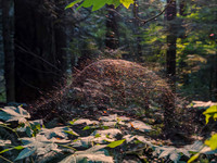 20250905-UOBM9338-2-Edit