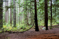 3X6A6193-Edit