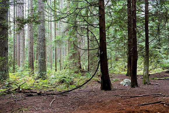 3X6A6193-Edit