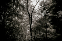 IMG_0761-Edit