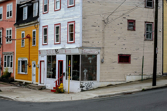 Bi Curious shop in St. John's
