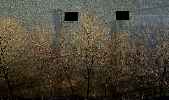 Winnipeg windows, why so high?